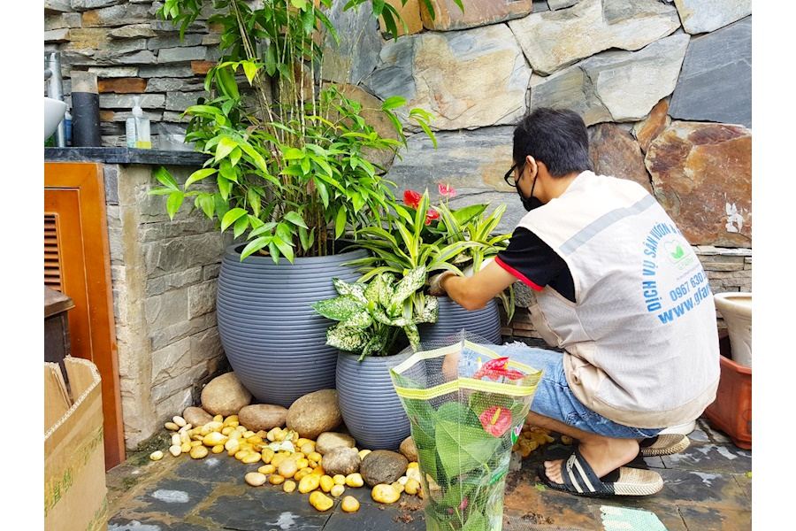 Mẫu thiết kế sân vườn Nhà phố - Phong cách Phối hợp (Mã GF58)