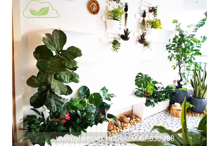 Mẫu thiết kế Ban công - Phong cách Châu Âu (Mã GF6)