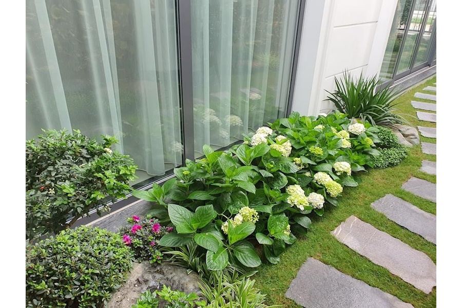 Mẫu thiết kế sân vườn Nhà phố - Phong cách Nhà việt (Mã GF60)