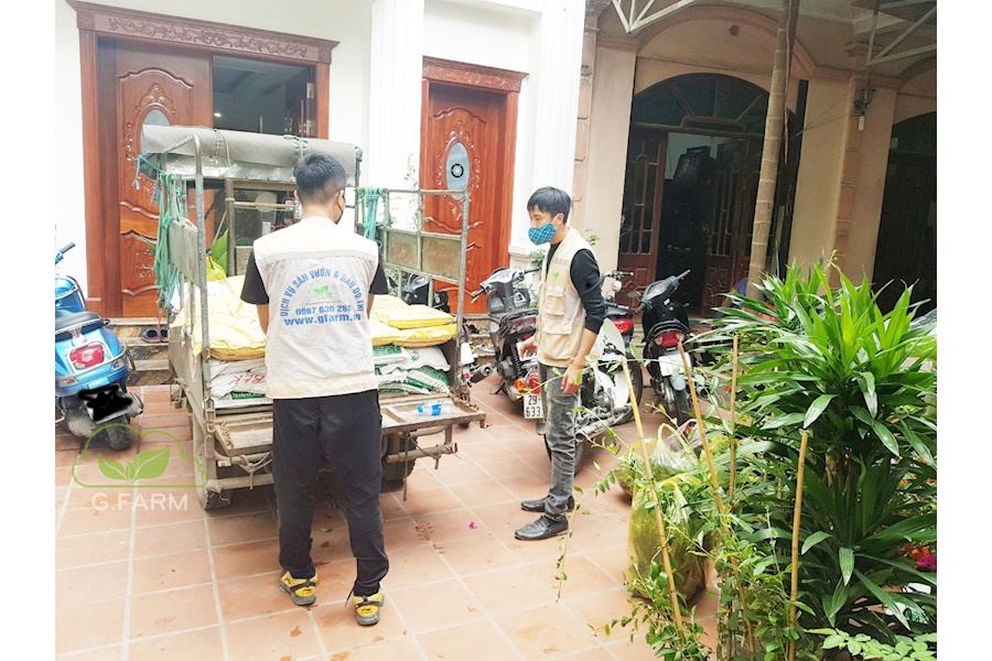 Mẫu thiết kế sân vườn Nhà phố - Phong cách Phối hợp (Mã GF61)
