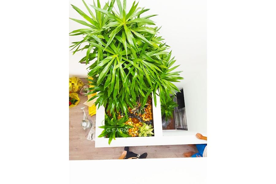 Mẫu thiết kế sân vườn Nhà phố - Phong cách Phối hợp (Mã GF63)