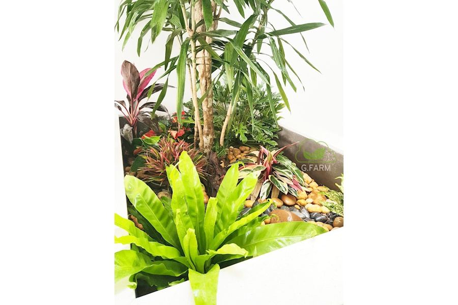 Mẫu thiết kế sân vườn Nhà phố - Phong cách Phối hợp (Mã GF63)