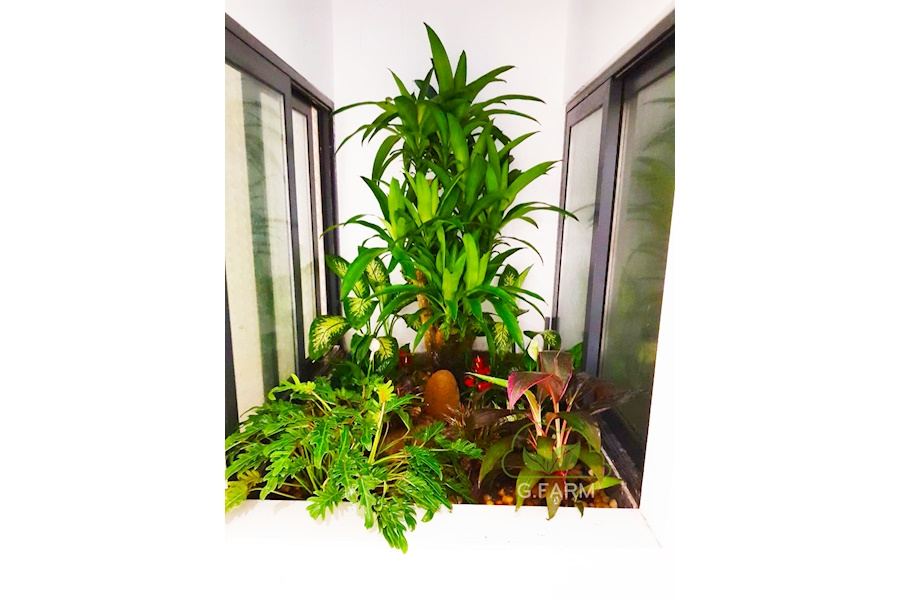 Mẫu thiết kế sân vườn Nhà phố - Phong cách Phối hợp (Mã GF63)
