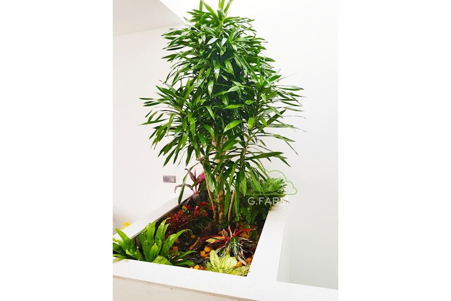 Mẫu thiết kế sân vườn Nhà phố - Phong cách Phối hợp (Mã GF63)