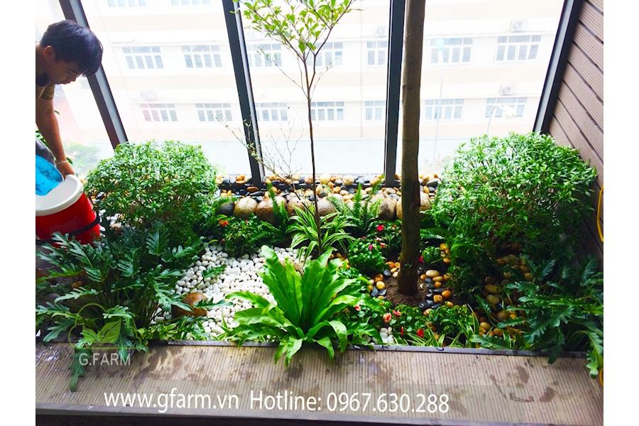 Mẫu thiết kế sân vườn Nhà phố - Phong cách Phối hợp (Mã GF64)