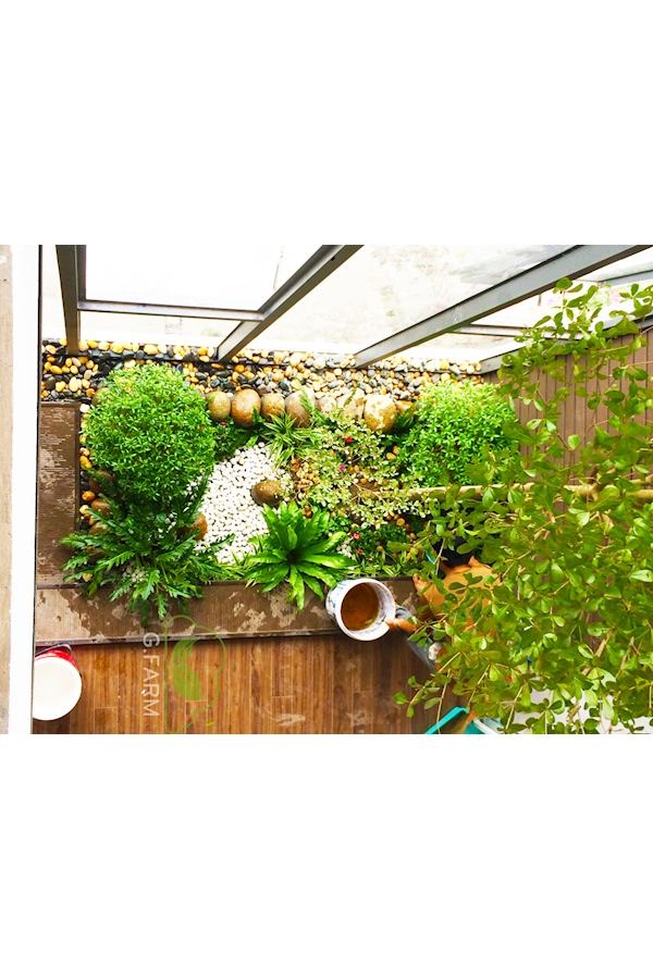 Mẫu thiết kế sân vườn Nhà phố - Phong cách Phối hợp (Mã GF64)