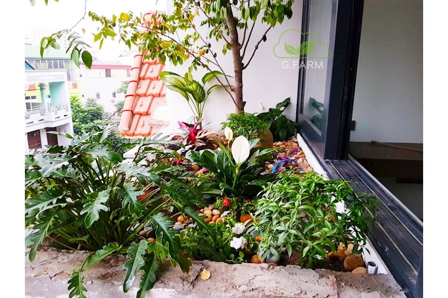 Mẫu thiết kế sân vườn Nhà phố - Phong cách Phối hợp (Mã GF64)