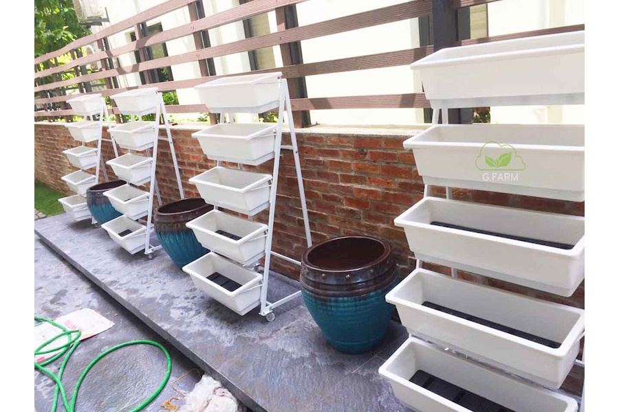 Mẫu thiết kế Rau sạch sân vườn (Mã GF68)