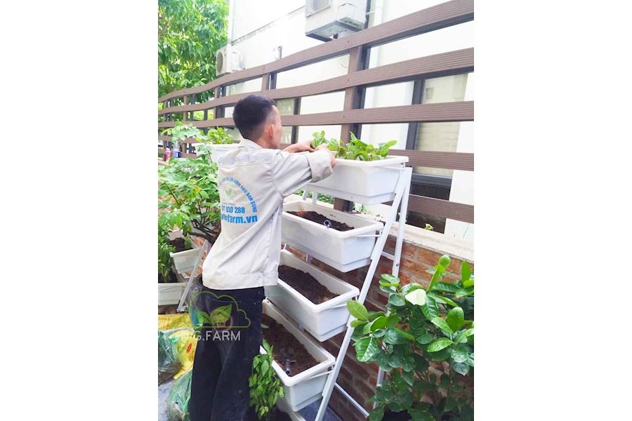 Mẫu thiết kế Rau sạch sân vườn (Mã GF68)
