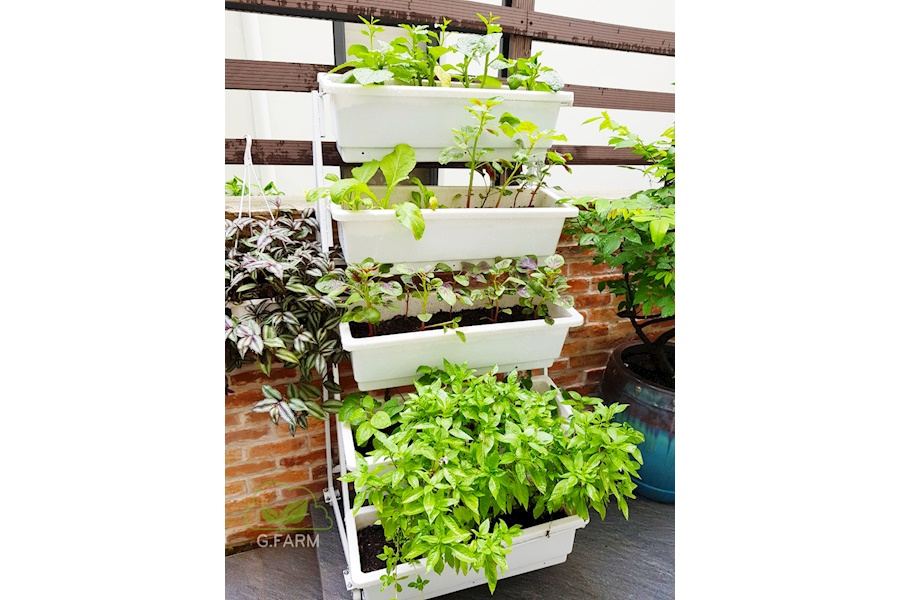 Mẫu thiết kế Rau sạch sân vườn (Mã GF68)