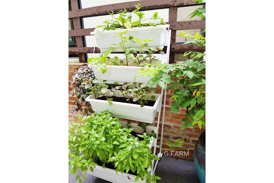 Mẫu thiết kế Rau sạch sân vườn (Mã GF68)