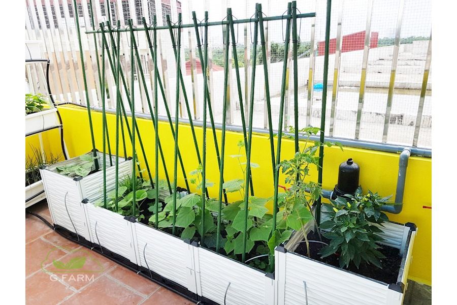 Mẫu thiết kế Rau sạch sân vườn (Mã GF69)