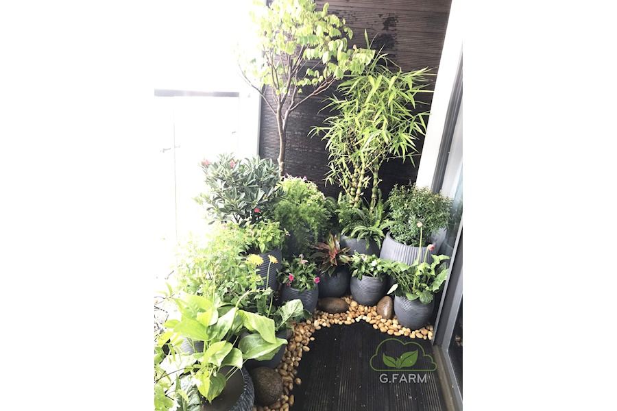 Mẫu thiết kế Ban công - Phong cách Châu Âu (Mã GF7)