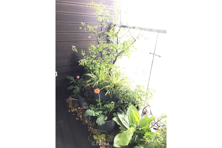 Mẫu thiết kế Ban công - Phong cách Châu Âu (Mã GF7)