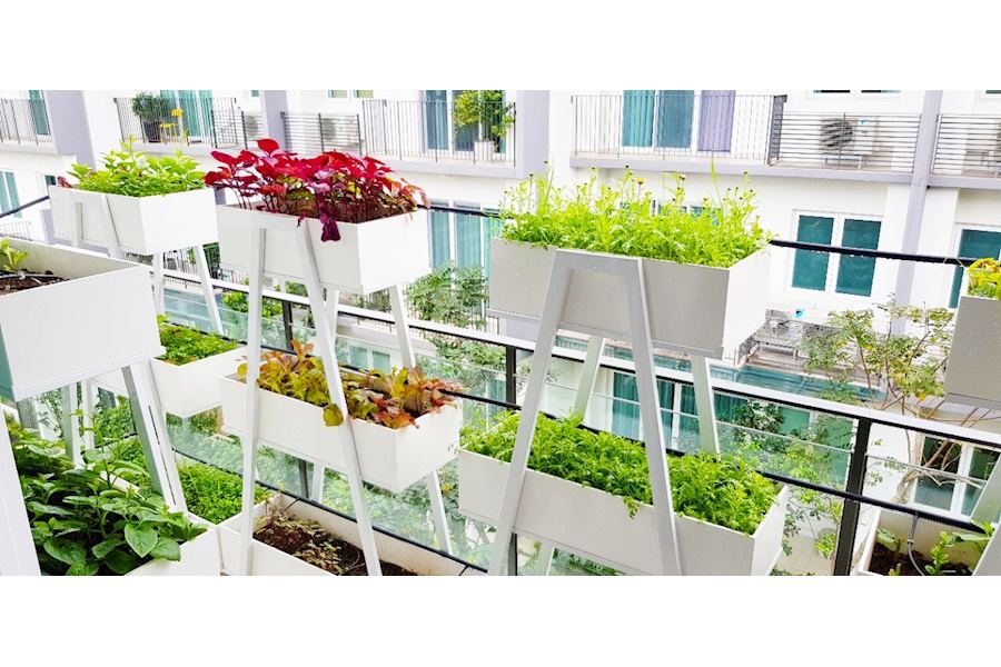 Mẫu thiết kế Rau sạch sân vườn (Mã GF71)