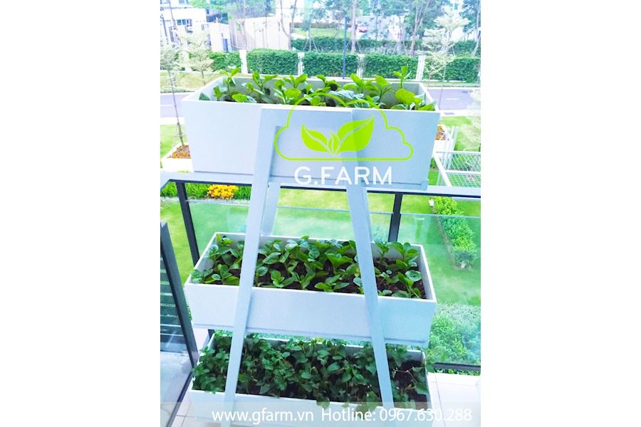 Mẫu thiết kế Rau sạch sân vườn (Mã GF71)
