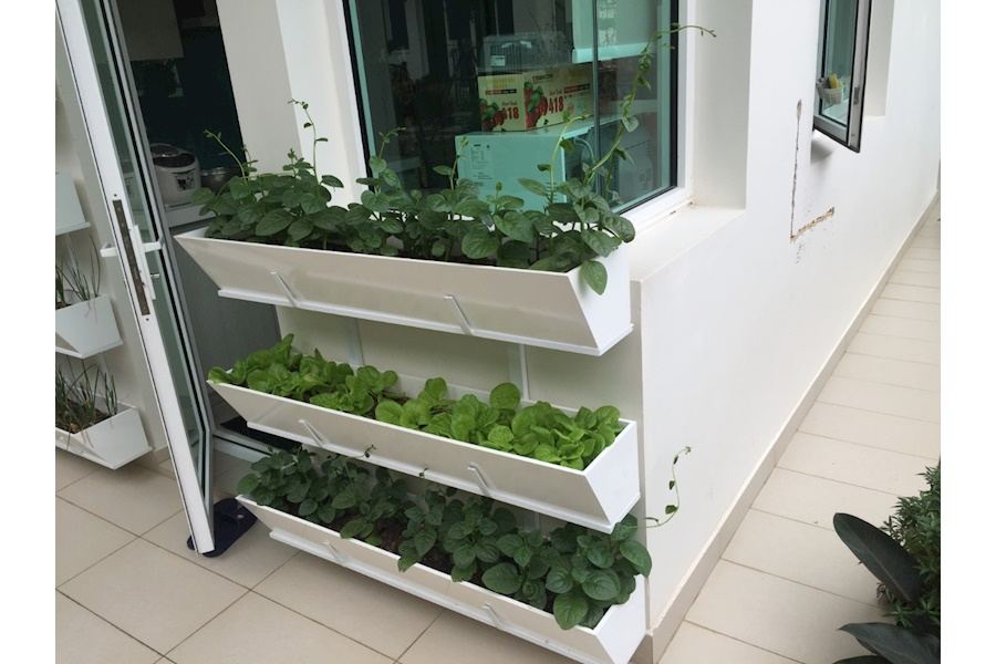 Mẫu thiết kế Rau sạch sân vườn (Mã GF71)