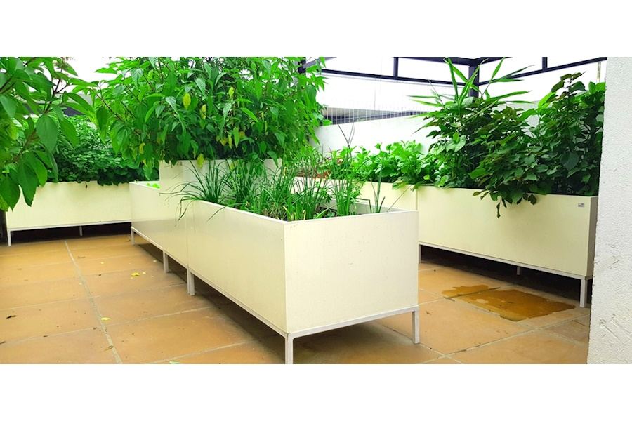 Mẫu thiết kế Rau sạch sân vườn (Mã GF72)