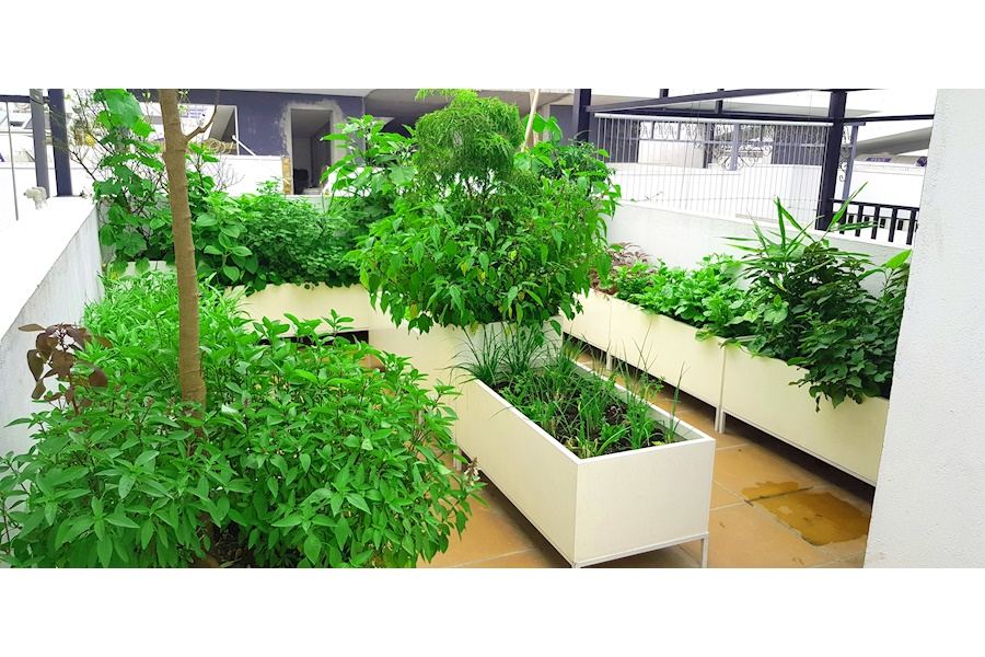 Mẫu thiết kế Rau sạch sân vườn (Mã GF72)