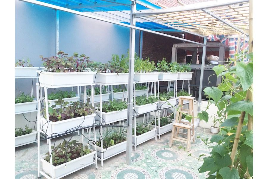 Mẫu thiết kế Rau sạch sân vườn (Mã GF73)