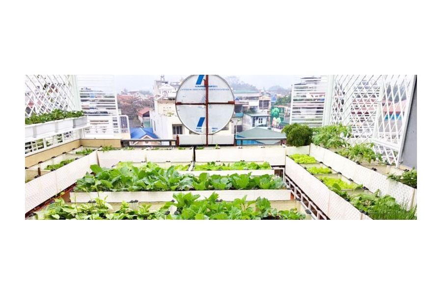 Mẫu thiết kế Rau sạch sân vườn (Mã GF74)