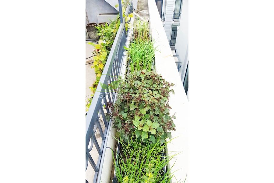Mẫu thiết kế Rau sạch sân vườn (Mã GF75)