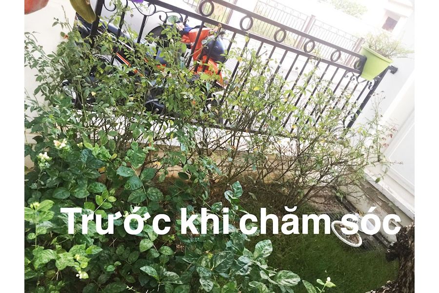 Phân bón (Mã GF88)