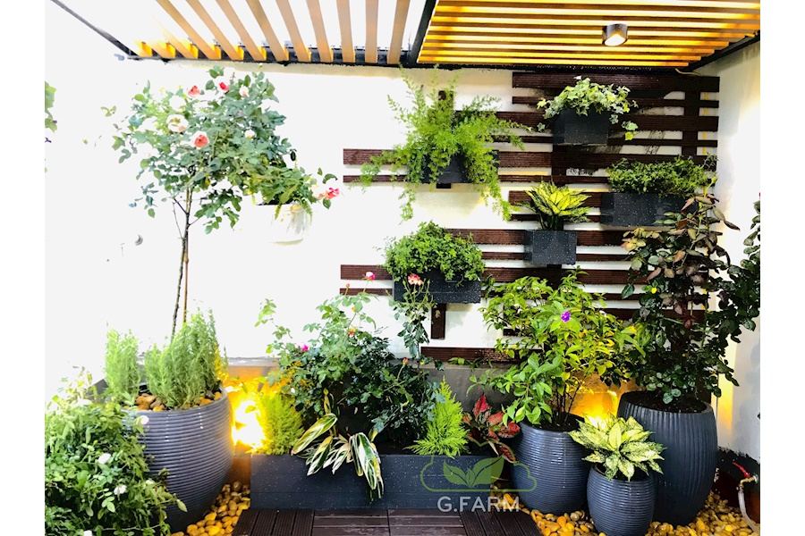 Mẫu thiết kế sân vườn Nhà phố - Phong cách Châu Âu (Mã GF9)