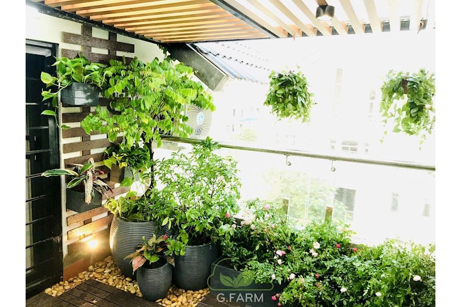 Mẫu thiết kế sân vườn Nhà phố - Phong cách Châu Âu (Mã GF9)