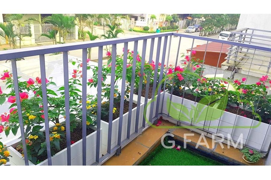 Sản phẩm Chậu trồng cây composite (Mã GF90)