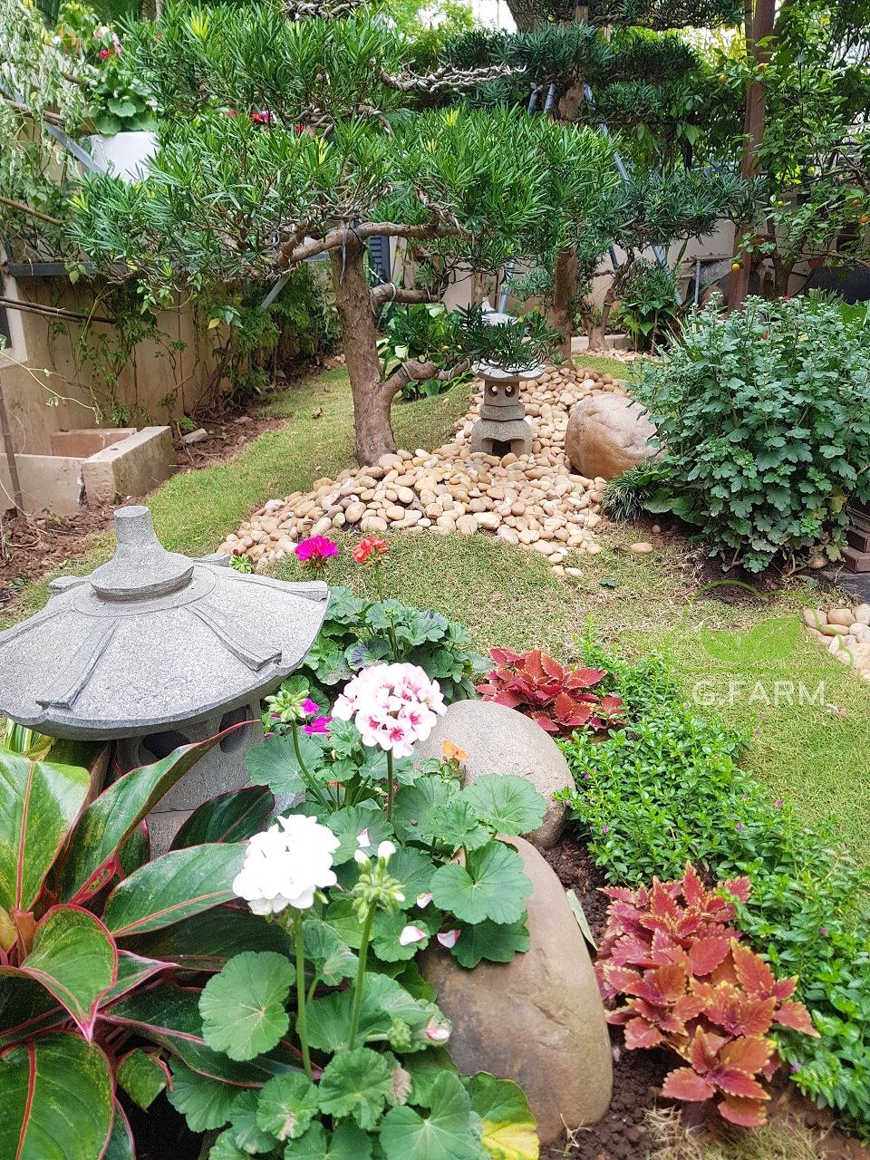 Thiết kế sân vườn biệt thự đẹp