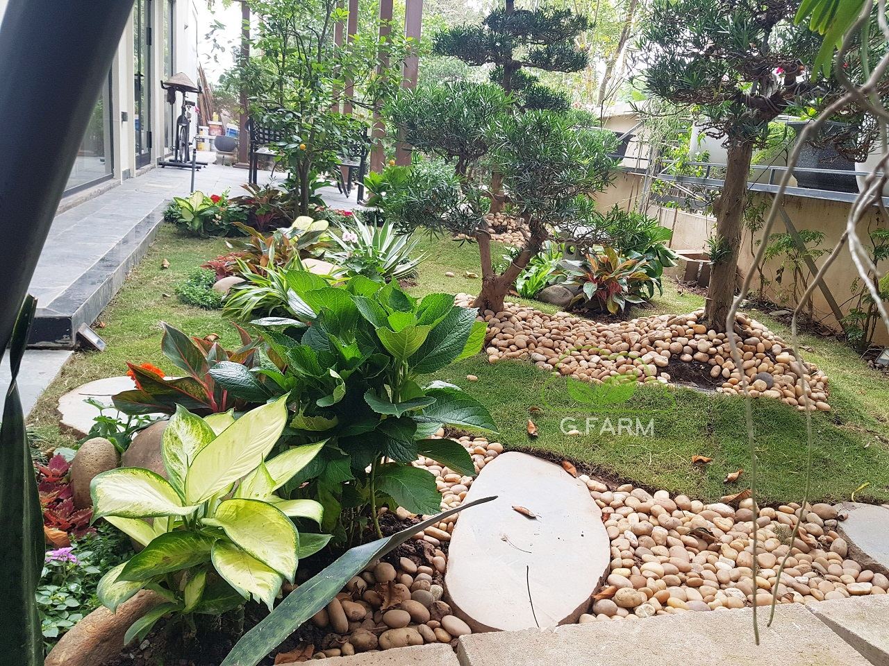 Thiết kế sân vườn biệt thự đẹp