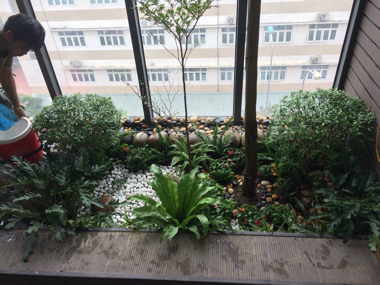 Thiết kế và Thi công dự án sân vườn Nhà phố 18m2 - Anh An