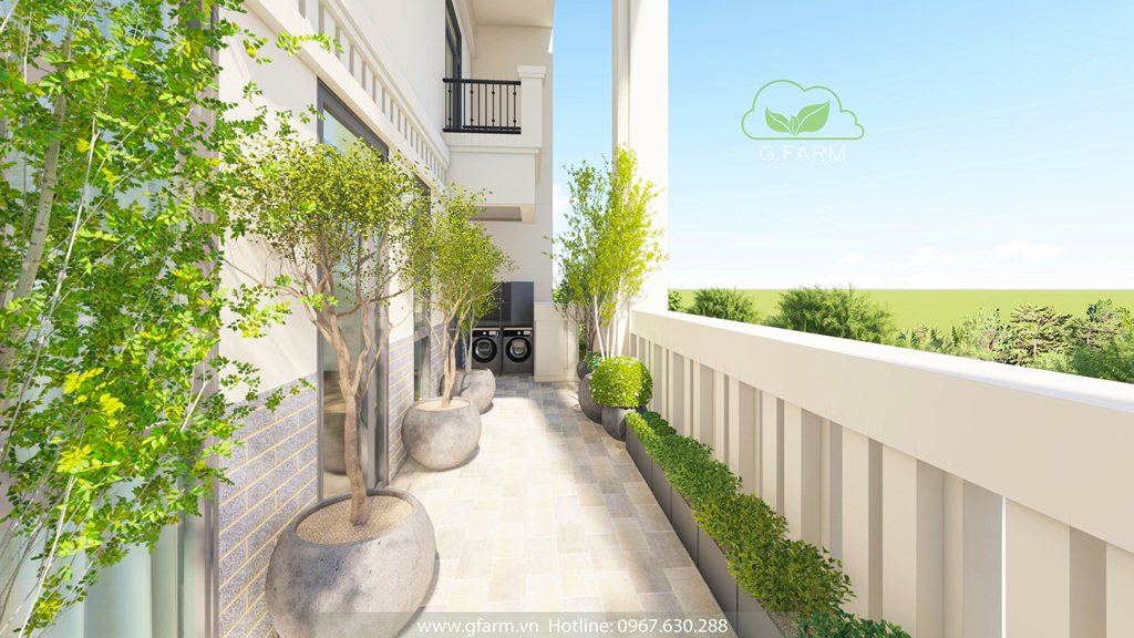 Tiểu cảnh sân penthouse