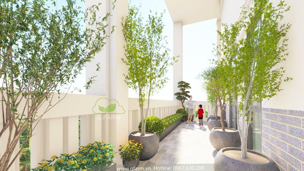 Tiểu cảnh sân penthouse