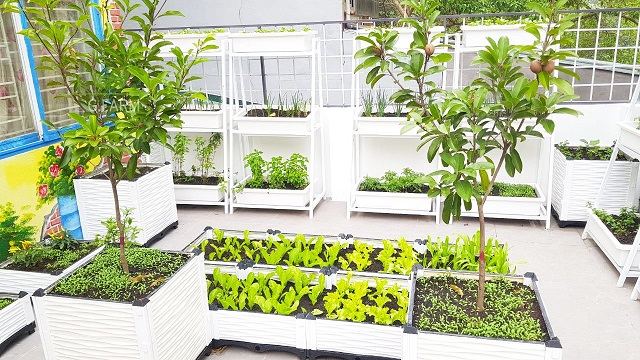 vườn rau đẹp