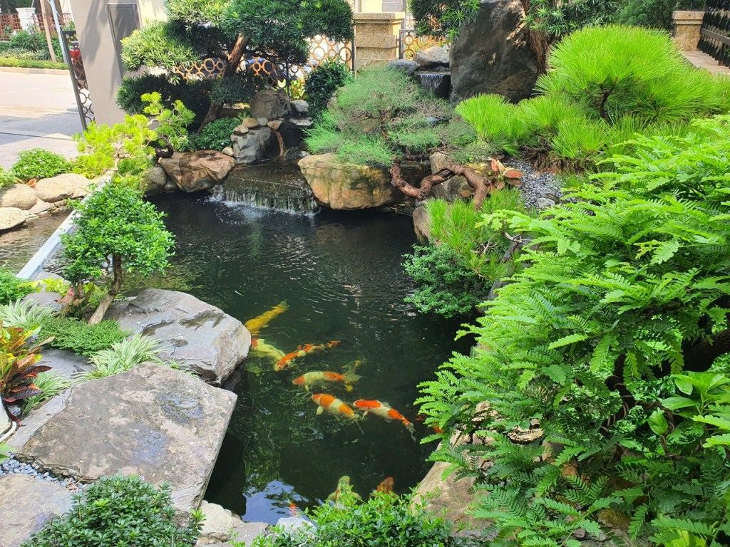 thiet-ke-va-thi-cong-ho-ca-koi