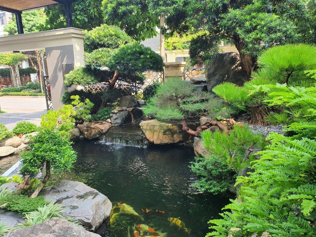 ca-koi-dep