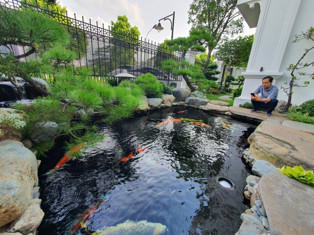 ca-koi-dep