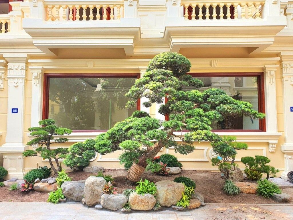 Sân vườn biệt thự Vinhome Long Biên