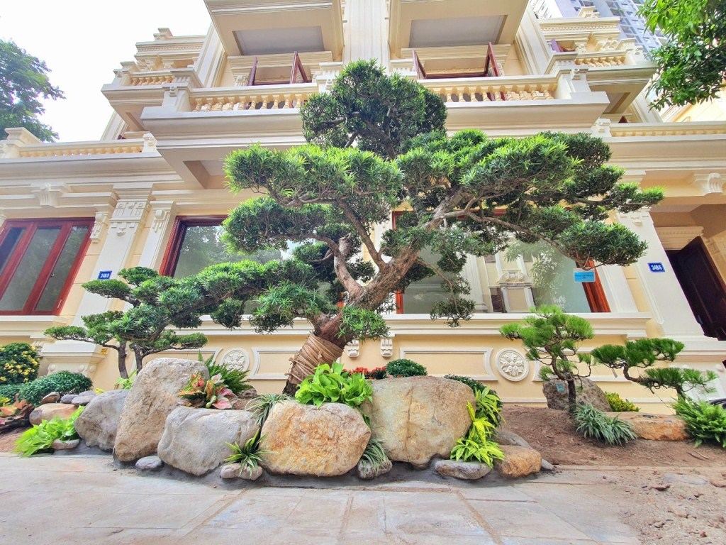 Sân vườn biệt thự Vinhome Long Biên
