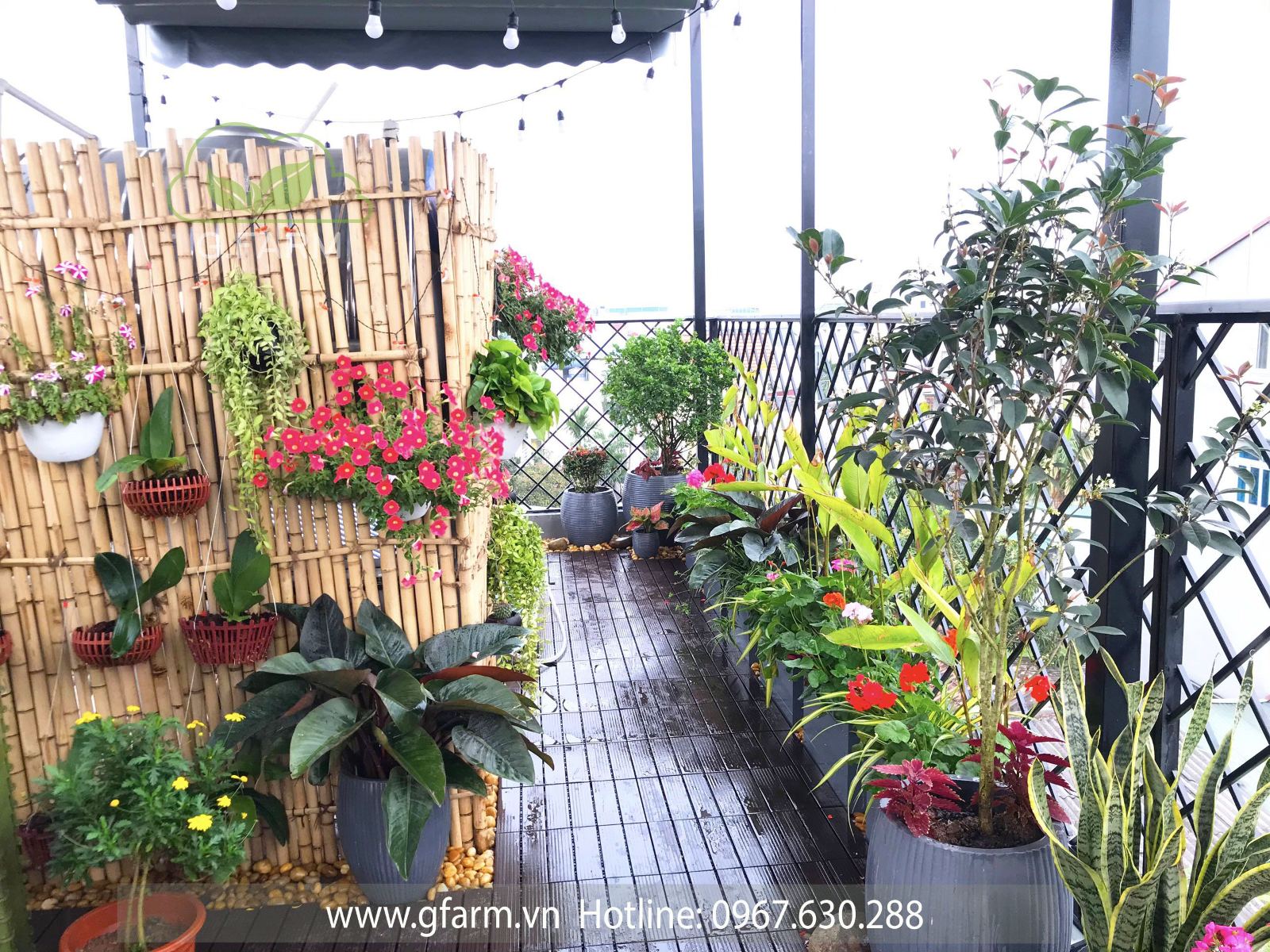 Thiết kế sân thượng