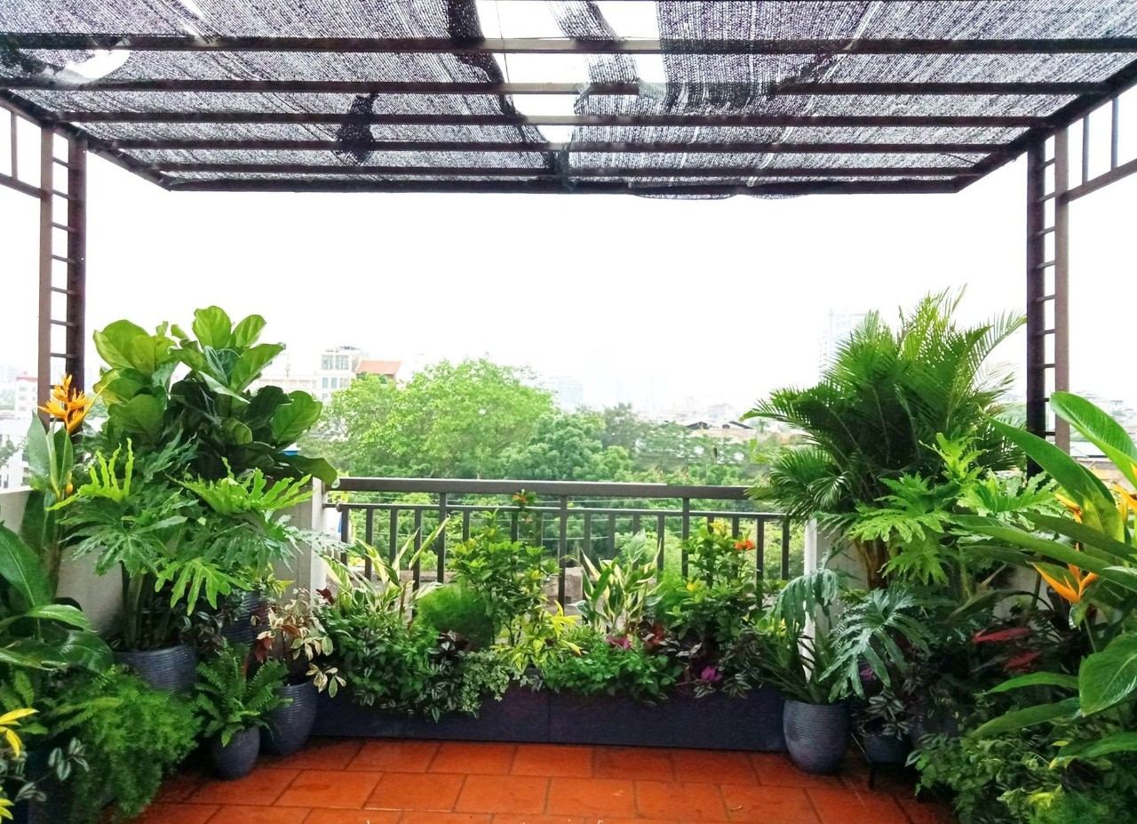 Vườn bacony UDIC