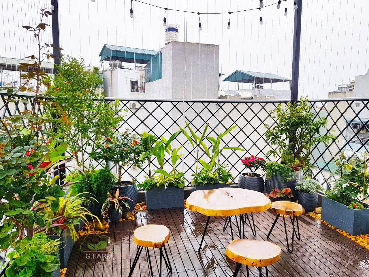 Vườn bacony UDIC