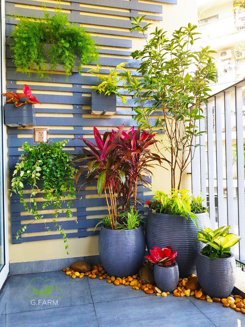 Vườn chị Ly UDIC