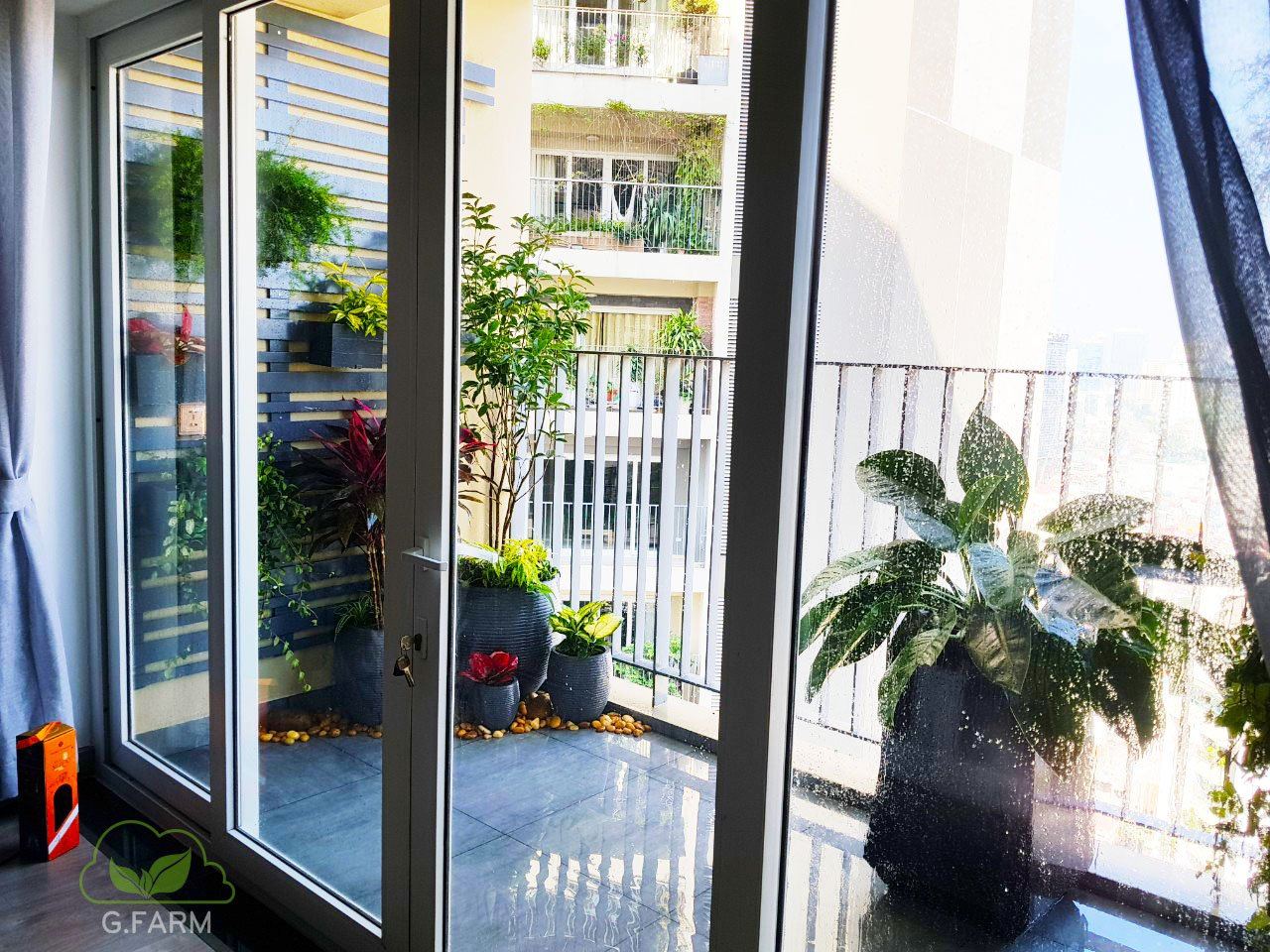 Vườn chị Ly UDIC