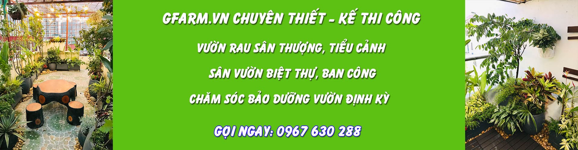 banner-slider-1